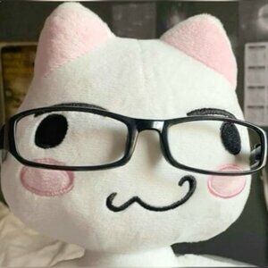 Meet your Posher, Amna